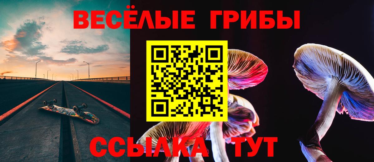 где найти   Галлюциногенные грибы MAGIC MUSHROOMS  Вход с VPN  Мыски 