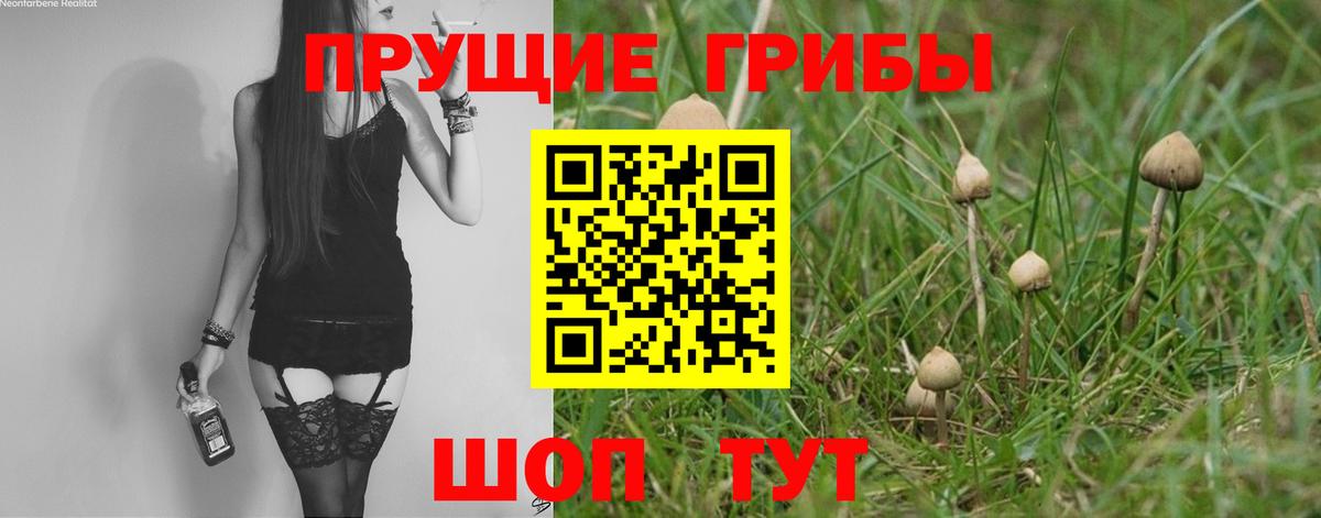 Псилоцибиновые грибы ЛСД Мыски